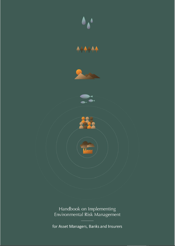 Handbook on Implementing Environmental Risk Management