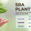 plant tree
